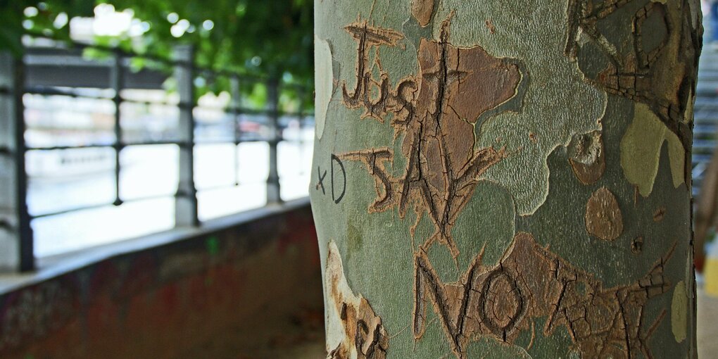 Ein Baum am Spreeufer. In die Rinde ist eingeritzt: Just say no