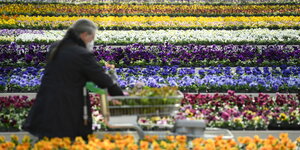 Eine Frau beim Einkauf in einem Gartencenter voller bunter Blumen
