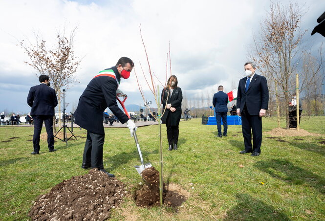 Italiens Ministerpräsident Mario Draghi sieht beim Pflanzen eines Baumes zu