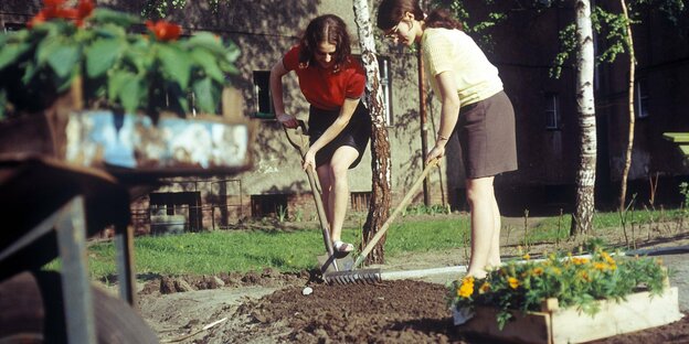 Frühjahrsputz der Hausgemeinschaft in Berlin 1968, zwei Frauen harken ein Beet