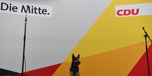 Ein Schäferhund sitzt vor einer Bühne , links steht "DIE Mitte" rechts "CDU"