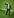 Bierhoff im schwarzen Anzug und Hemd auf dem Rasen
