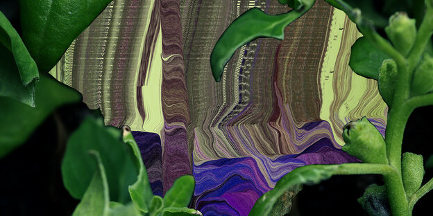 Screenshot mit digitalen Pflanzen