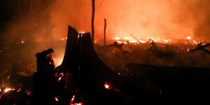 Ein Wald brennt in Brasilien