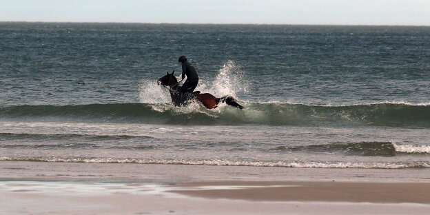 Reiter galoppiert mit Pferd durch die Wellen am Strand.