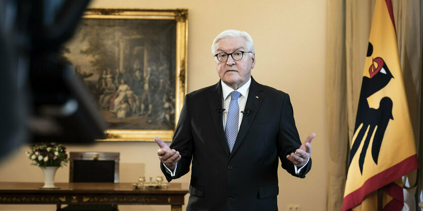 Bundespräsident Frank-Walter Steinmeier