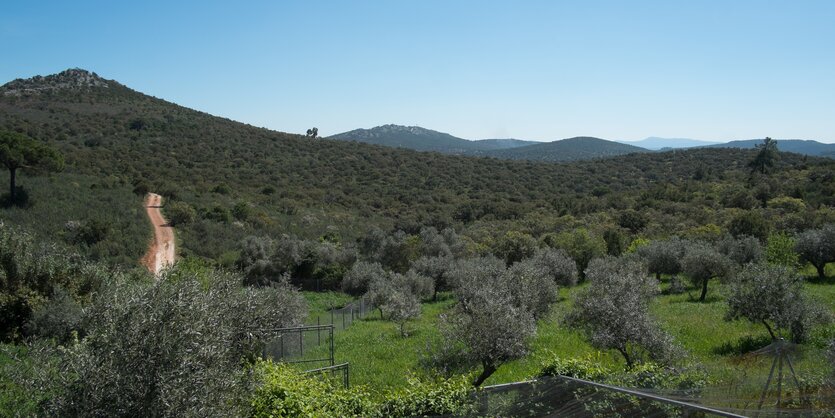 Landschaft in Spanien