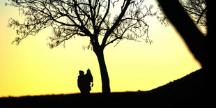 Silhouette einer Frau traegt ein Kleinkind neben einem Baum