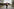 Eine Frau mit der typischen lila Weste der ehrenamtlichen Unterschtiftensammler des Volksbegehren Deutsche Wohnen & Co enteignen steht in Berlin im Bezirk Marzahn-Hellersdorf