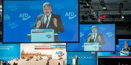 Der AfD-Chef Jörg Meuthen steht an einem Rednerpult
