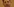 Portrait von Ex-Verfassungsschutzpräsident Maaßen.