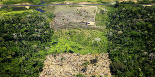 Luftaufnahme eines abgeholzten Gebiets im Amazonas-Regenwald in Acre, Brasilien. Für den Anbau von Soja, Kaffee und anderen Produkten für den Import in die EU ist zuletzt im Mittel jährlich Tropenwald auf einer Gesamtfläche von etwa der vierfachen Größe d