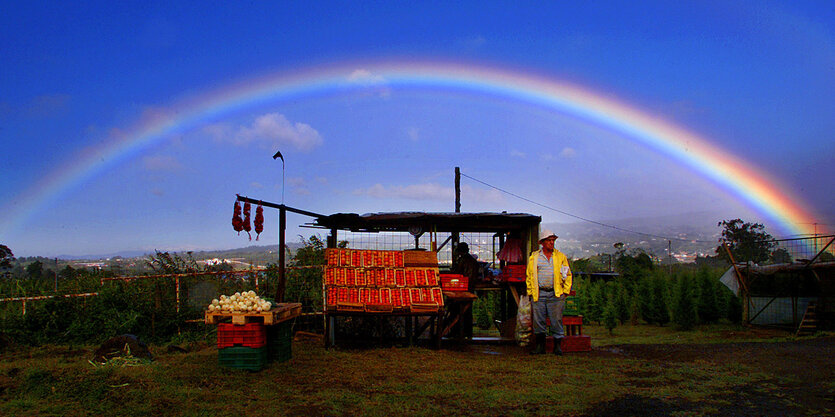 Ein Regenbogen spannt sich über einem Gemüse- und Obststand an einer Straße