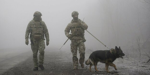 Zwei Ukrainische Soldaten mit Schäferhund im Nebel