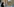 eine Frau läuft mit einem Papp-Becher in Rom an einem Haus vorbei - an der Fassade ist ein Wandbild mit weißer Taube aus derem Bauch Covid-19-Impfstoff abgeworfen wird