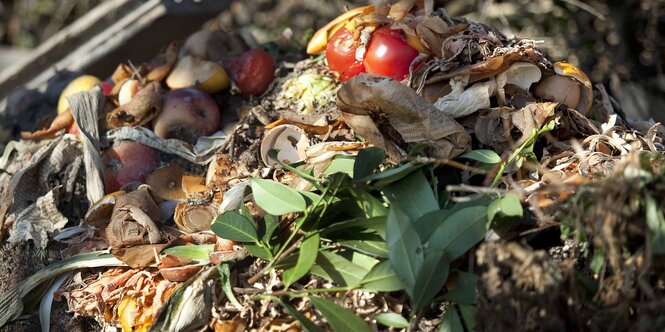 Biobfall liegt auf einem Haufen