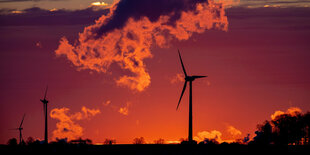 Windräder in der Abendämmerung