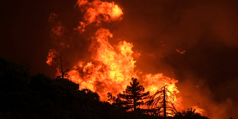 Waldbrand in Kalifornien