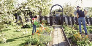 Ein Mann und ein Kind sind in einer Kleingartenpazelle mit Gartenarbeit beschäftigt, der Kirschbaum blüht