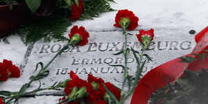 Nelken auf Rosa Luxemburgs Grab in Berlin