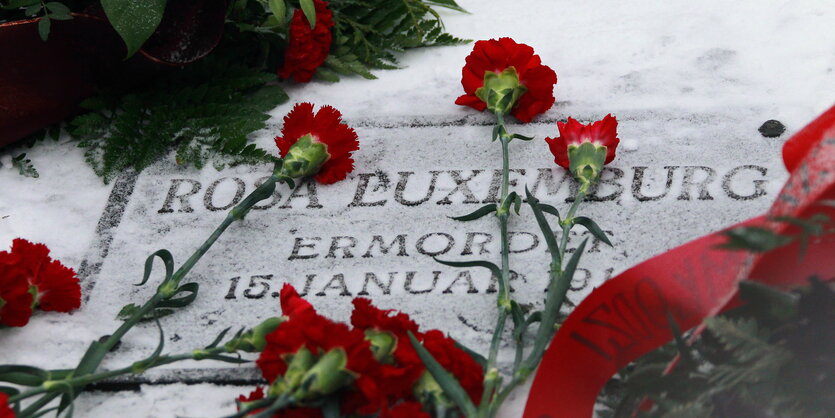 Nelken auf Rosa Luxemburgs Grab in Berlin