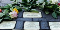Rosen liegen neben Stolperstein - während der Stolpersteinverlegung für als asozial verfolgte Menschen