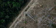 Luftaufnahme zeigt angeholzten Amazonas Regenwald in Brasilien