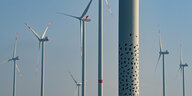 Ein Turm einer Windenergieanlage ist mit Vogelmotiven beklebt.
