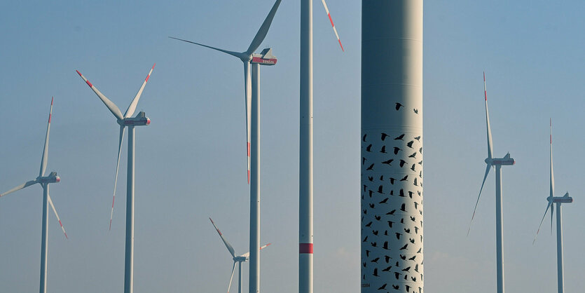 Ein Turm einer Windenergieanlage ist mit Vogelmotiven beklebt.