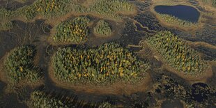 Übersicht einer Moorlandschaft