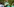 Werderspielerinnen jubeln nach dem 2:0