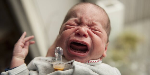 Ein Baby schreit, der SChnuller ist aus Mund gefallen.