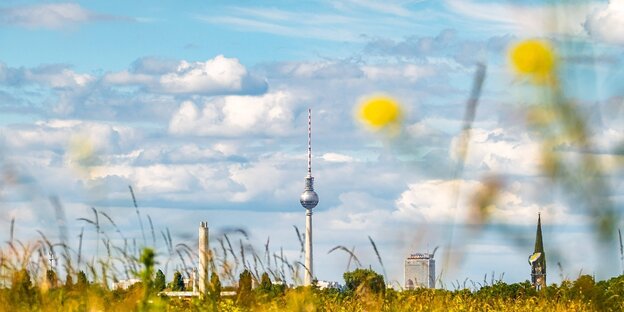 Die Skyline von Berlin vom Tempelhofer Feld aus gesehen