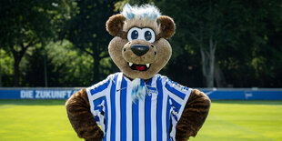 Maskottchen mit Fußballtrikot.