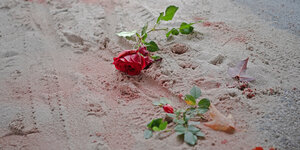 Eine Rose liegt im blutverschmierten Sand.