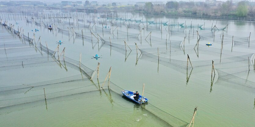 Viele Netzgehege und ein Boot