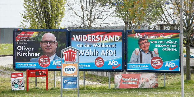 AfD-Wahlplakate - drei große Werbetafeln am Straßenrand