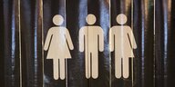 Pictogramme an einer Toilette für alle Geschlechter in Reykjavik