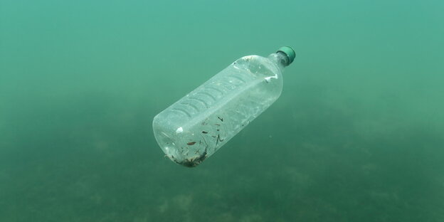 Leere Plastikflasche schwimmt in grünem Wasser