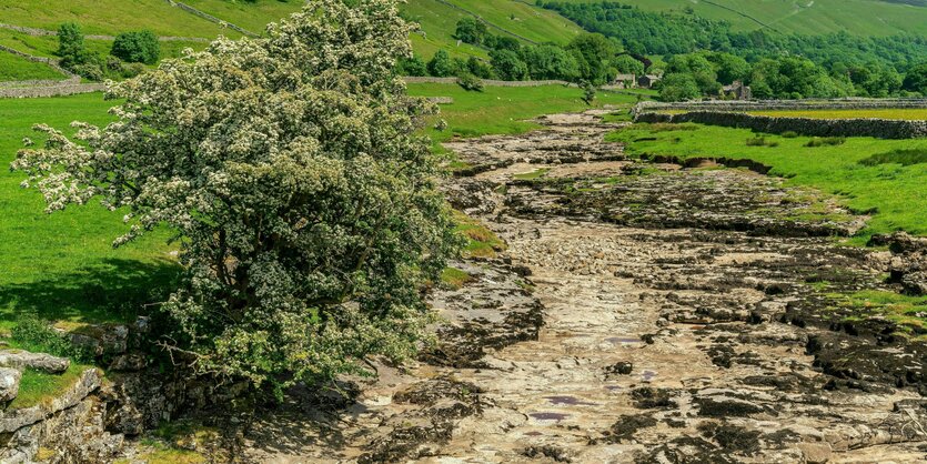 Ausgetrockneter Fluss in idyllischer Landschaft