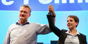 Jörg Meuthen und Frauke Petry in Siegerpose