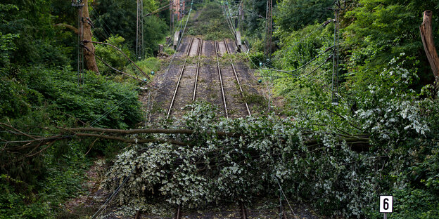 Umgefallene Bäume versperren Bahn-Gleise