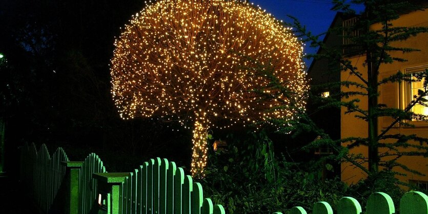 Auf Weihnachten getrimmter Baum in einem Vorgarten