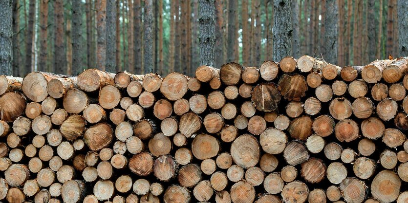 Man sieht einen Holzstapel