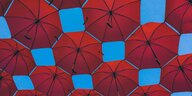 Viele rote Regenschirme vor einem blauen Himmel