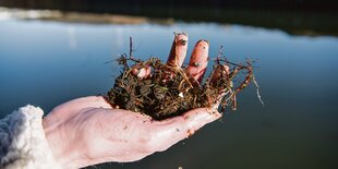 Eine Hand hält Schlick, in dem sich kleine Plastiksplitter befinden.