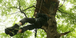 Ein Aktivist klettert hoch zu einem einem Baumhaus im Hambacher Forst