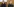 Screenshot-Portraits von Roman Protassewitsch und seiner Freundin Sofia Sapega