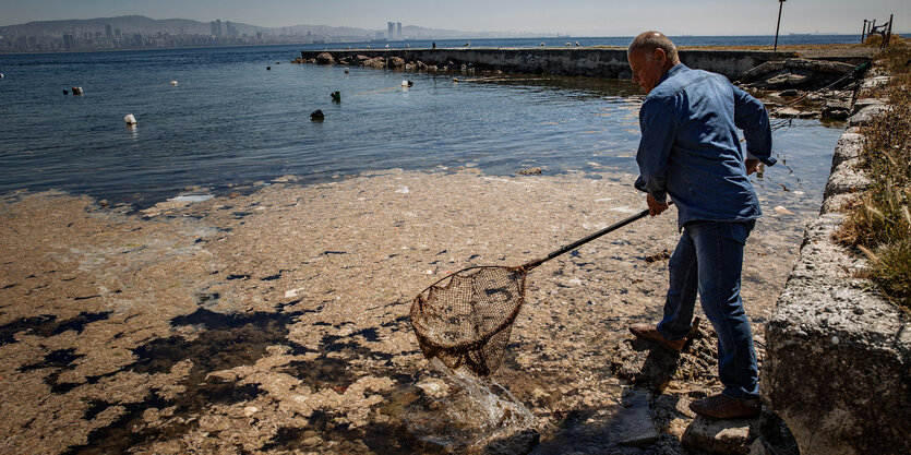 Mann fischt mit Kescher Schlamm aus dem Meer