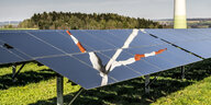 Solarmodule sind zu sehen, darauf spiegelt sich eine Turbine